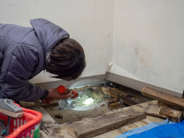 Best Mold Remediation for Healthcare Facilities  in Pleasant Hills, MD
